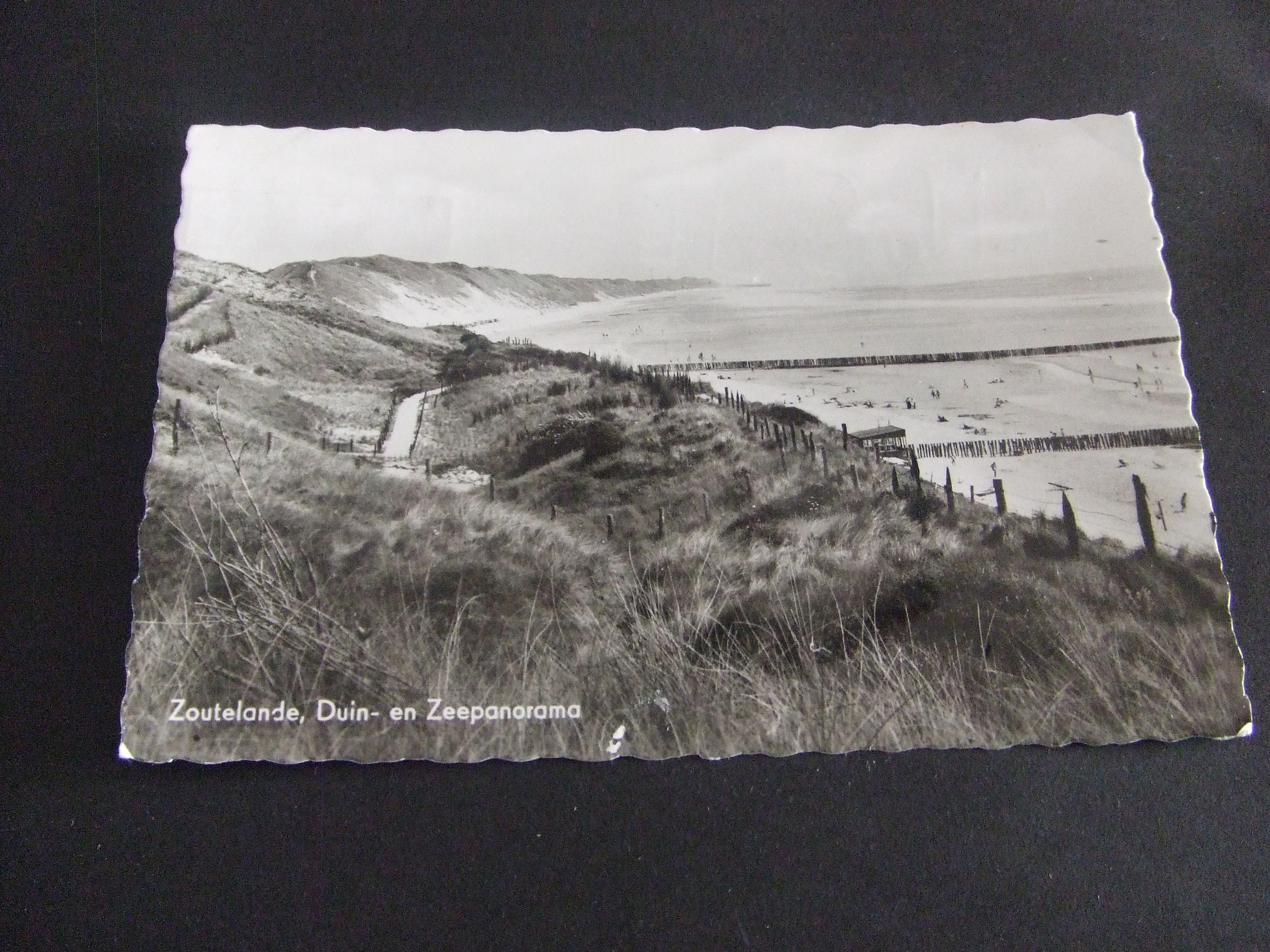 Zoutelande gemeente Veere Zeeland Duin en Zee panorama